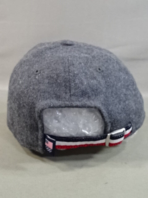 TEAM USA キャップ①(グレー)