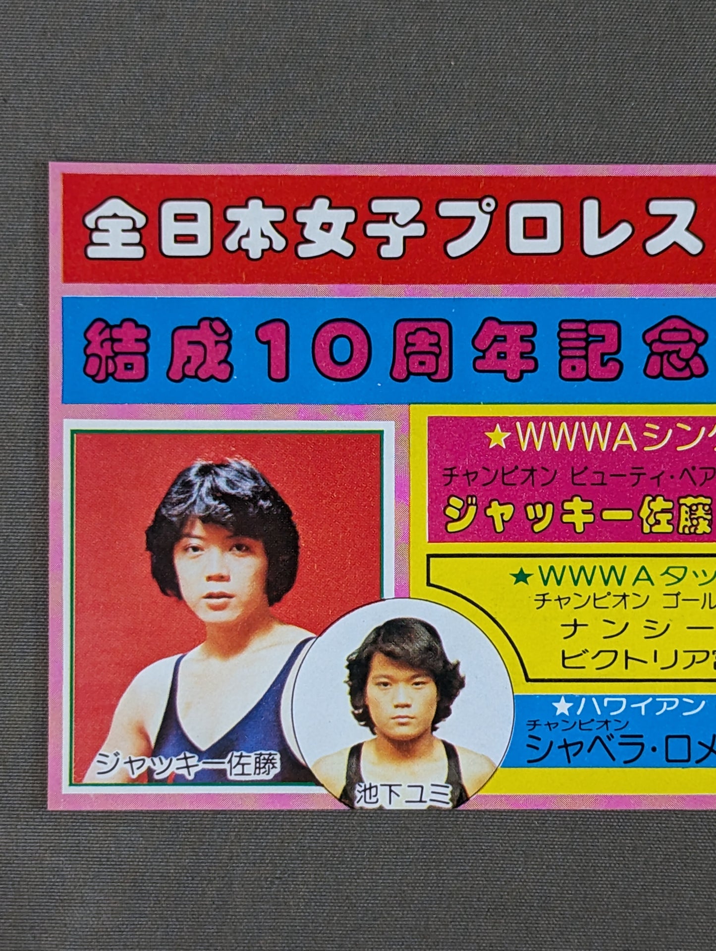 ★結成10周年記念★ 全日本女子プロレス 日本武道館大会 御優待券
