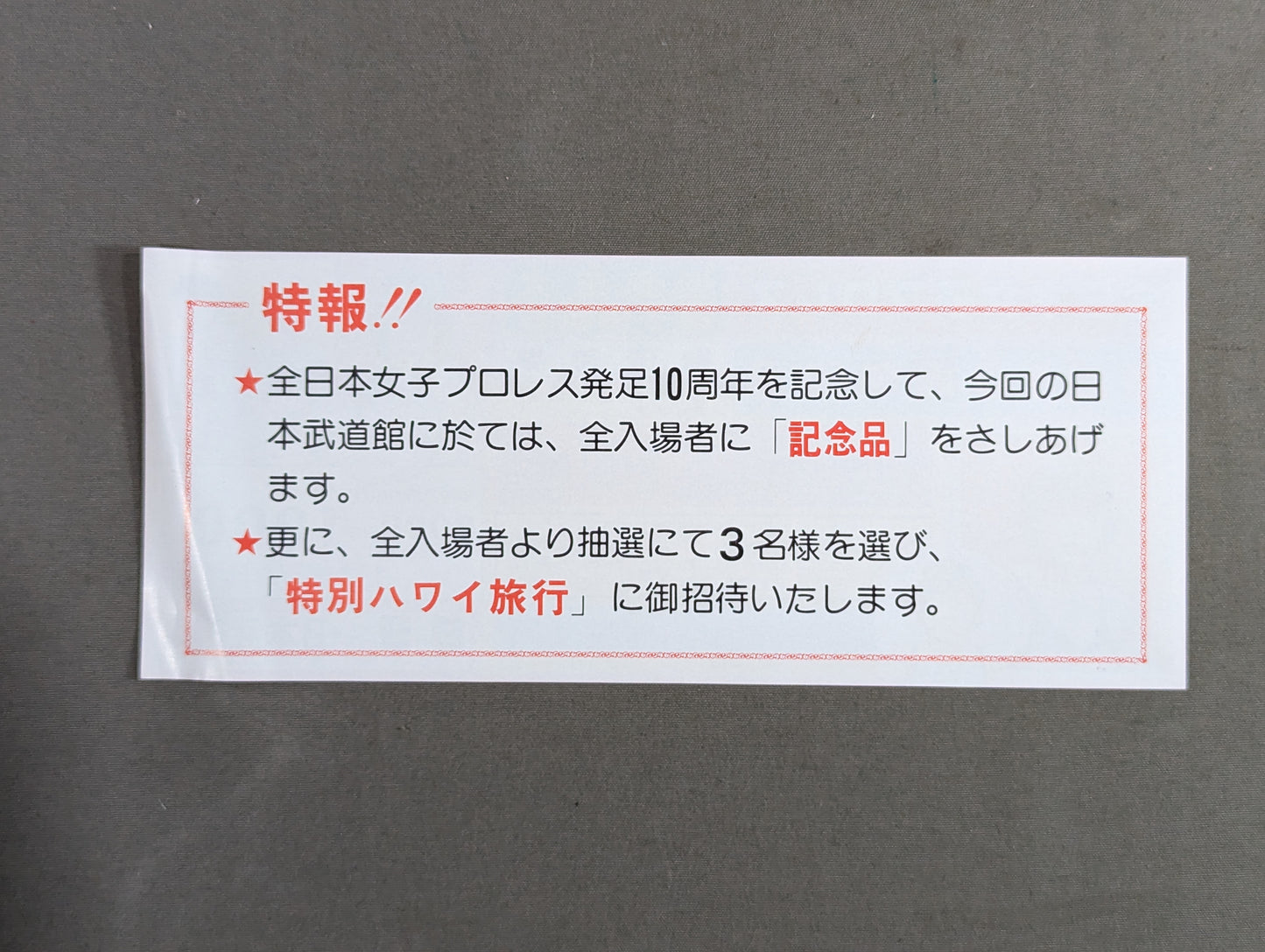 ★結成10周年記念★ 全日本女子プロレス 日本武道館大会 御優待券
