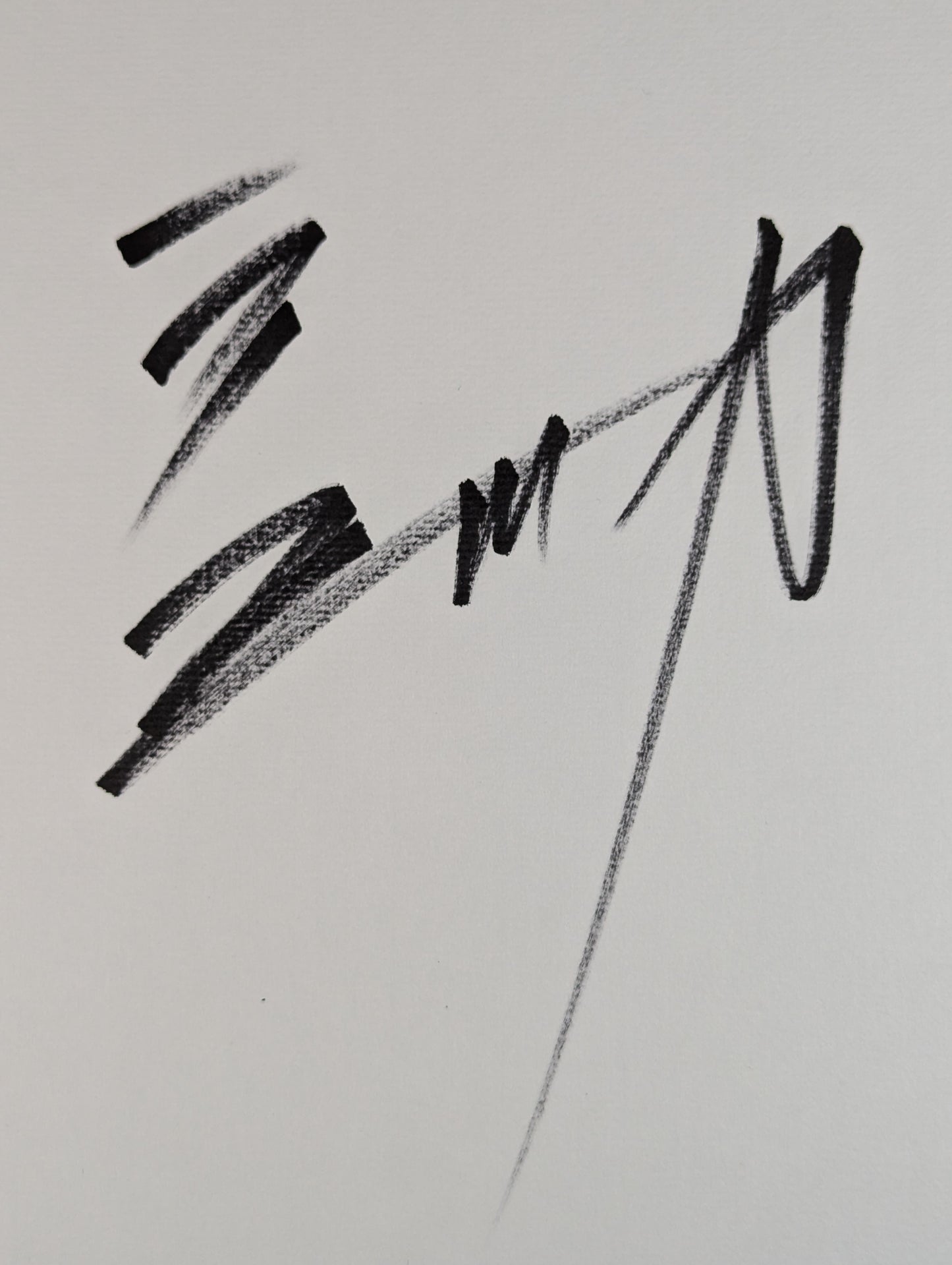 長州力(横書き)