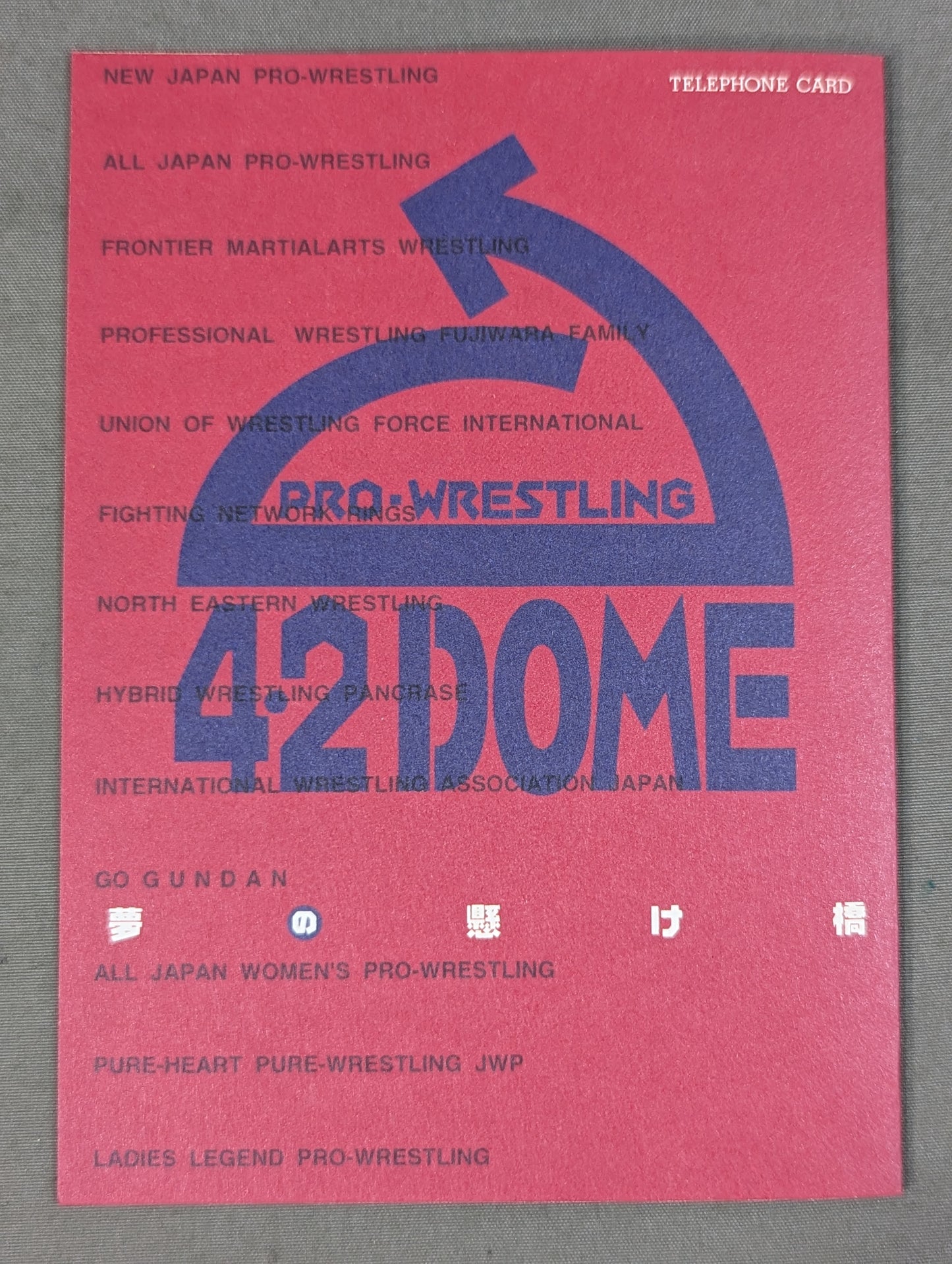 Dream Bridge 1995.4.2 Tokyo Dome