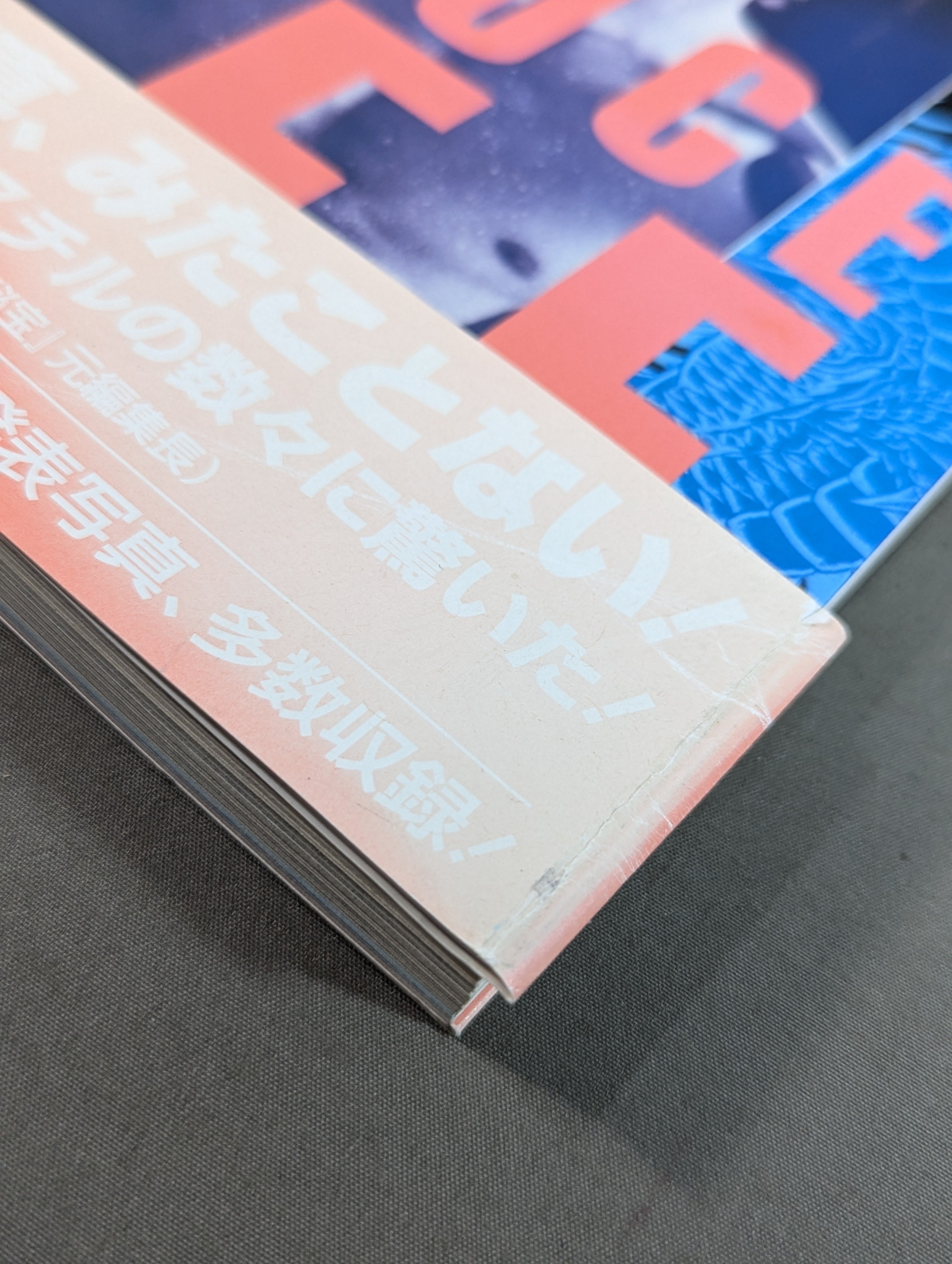 ブルース・リー ドラゴン伝説 – 闘道館