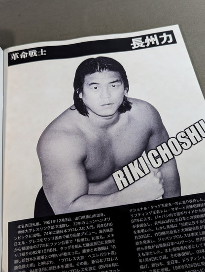 フルスイングマガジン第13弾 ジャパンプロレス FULL百科