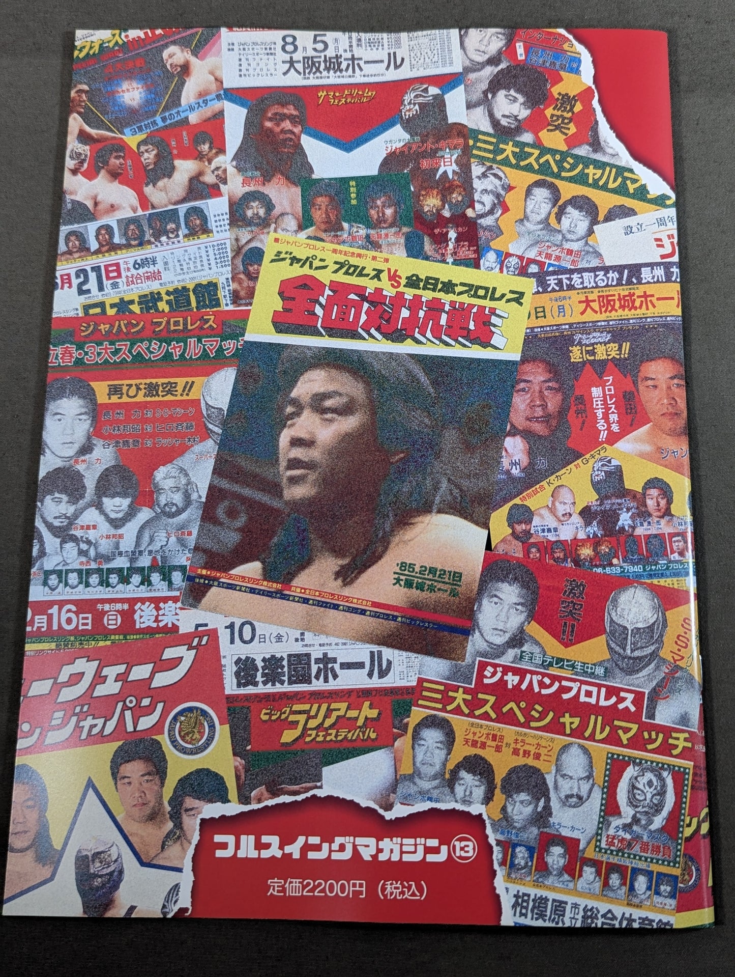 フルスイングマガジン第13弾 ジャパンプロレス FULL百科