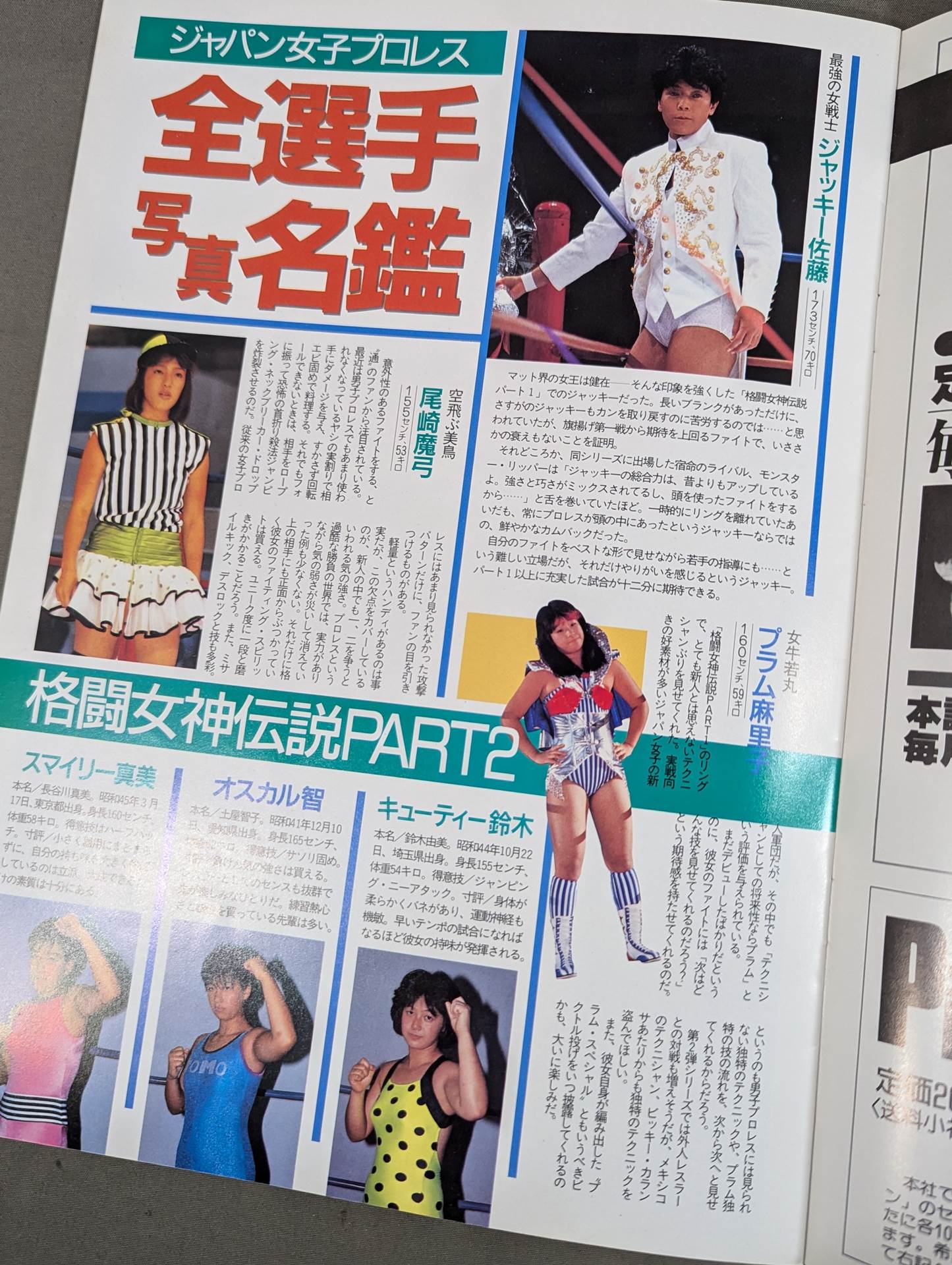 ジャパン女子プロレス 格闘女神伝説 part.2