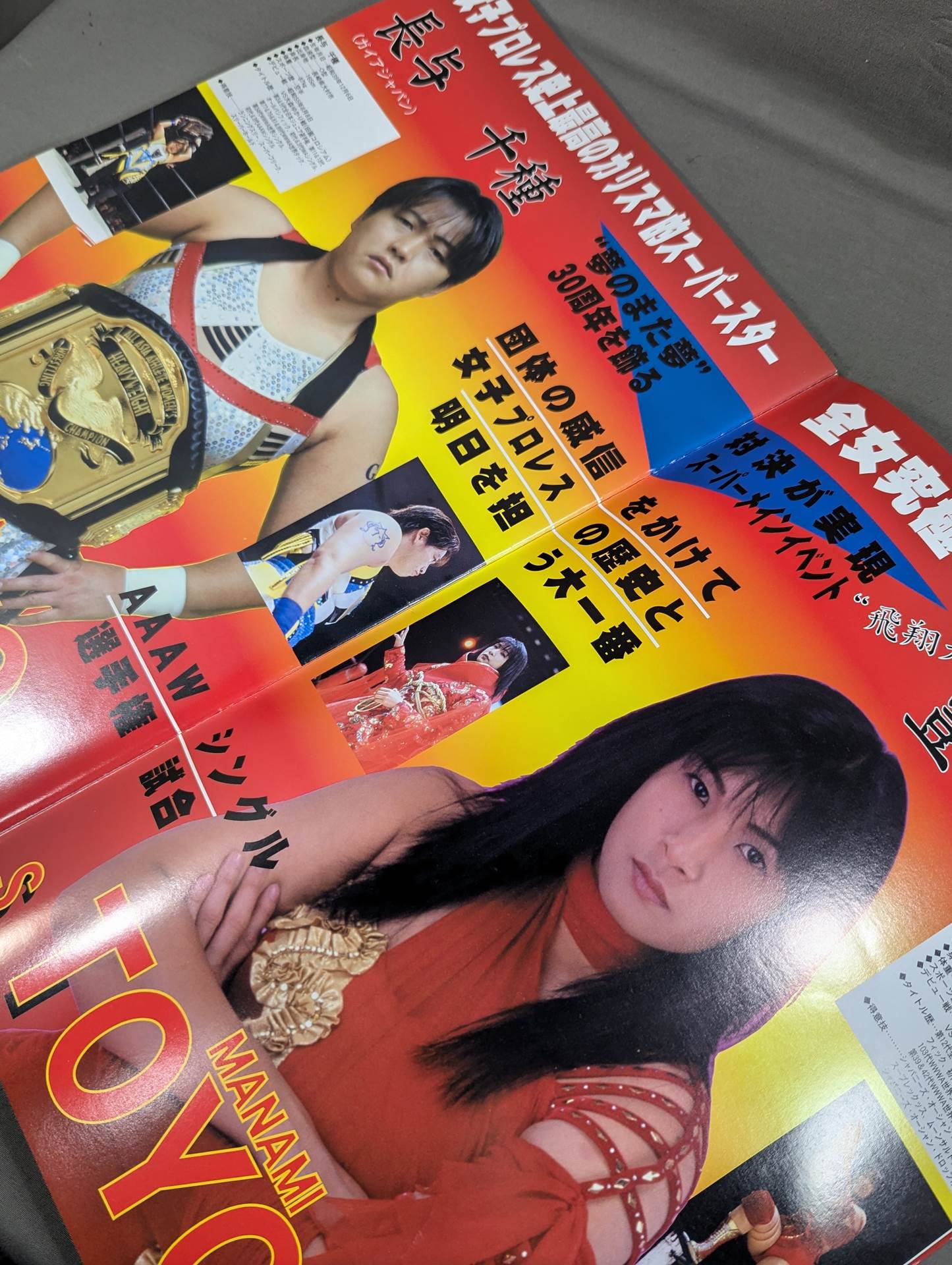 HALL OF FAME / 創立30周年記念大会 ”女子プロレス殿堂”への招待状