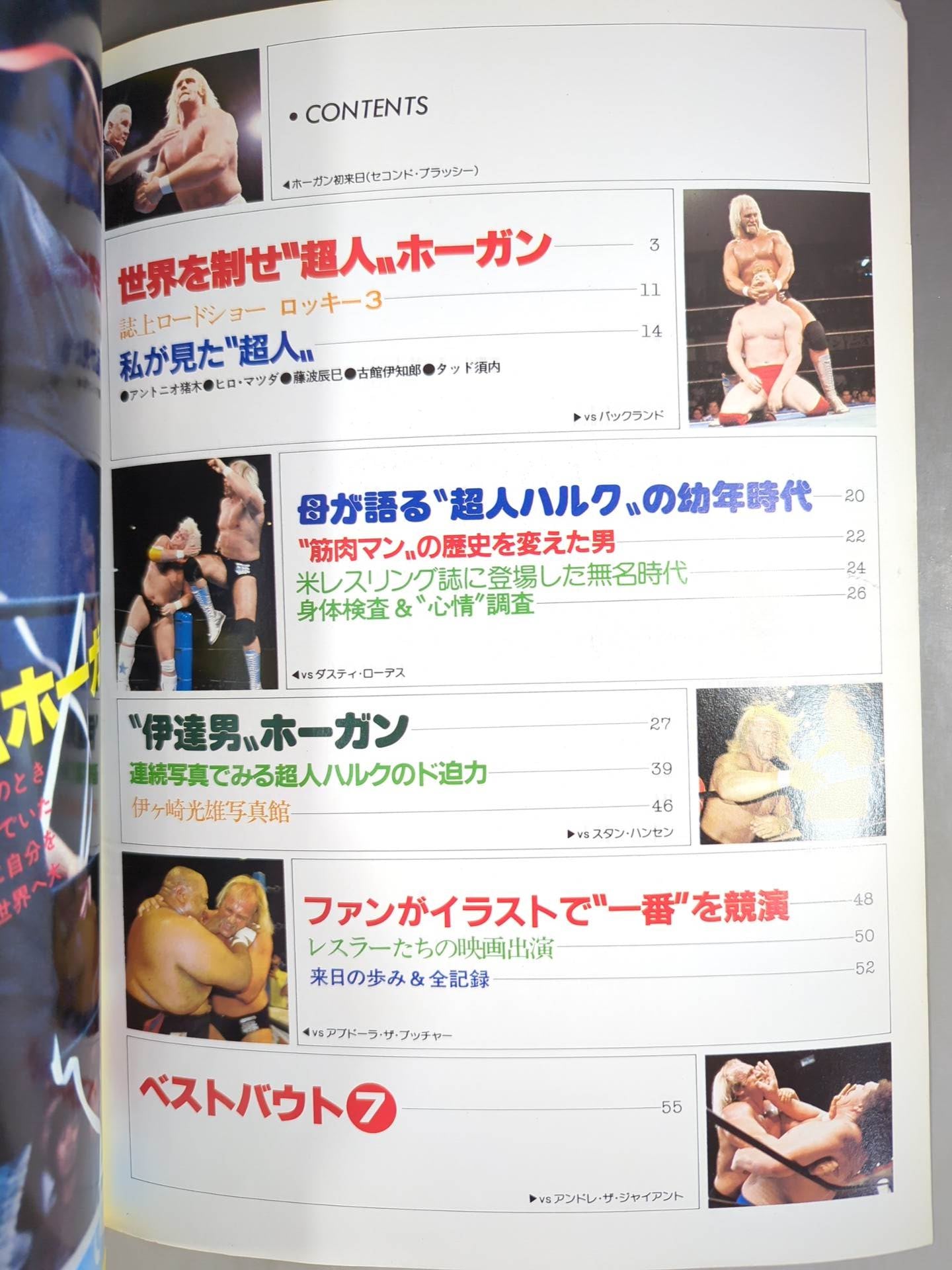 プロレスアルバム24 ハルク・ホーガン