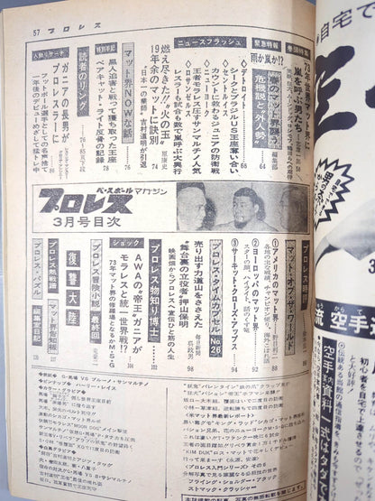 月刊プロレス 1973年3月号