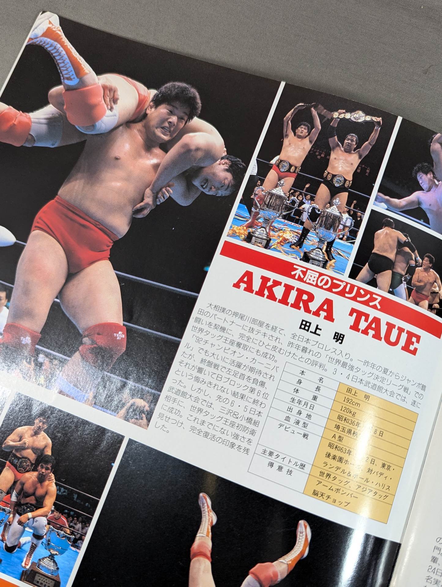 ★田上vsハンセン 三冠戦★ 92サマーアクション・シリーズ / 熱波襲来!