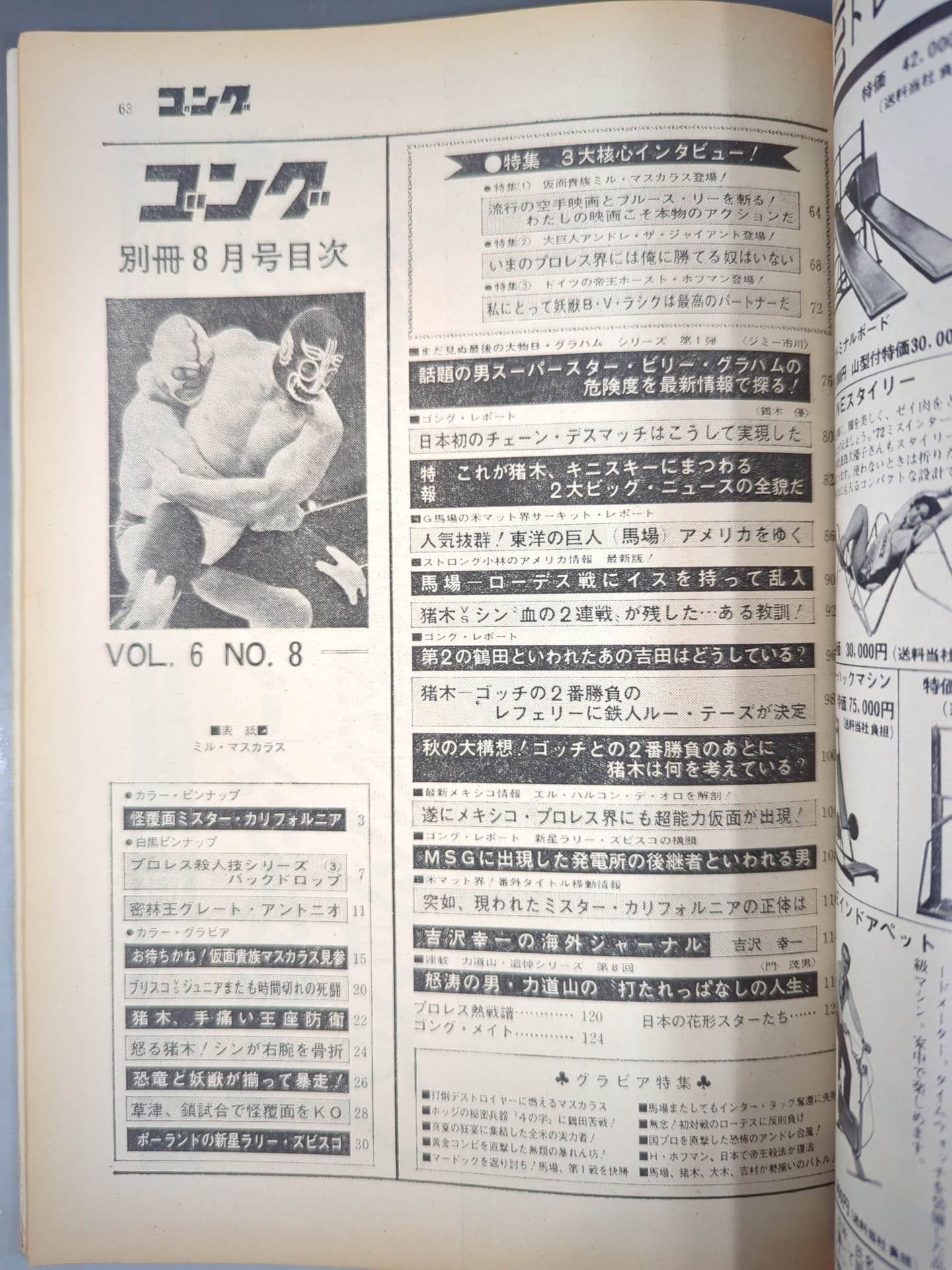 別冊ゴングVol.6 No.8