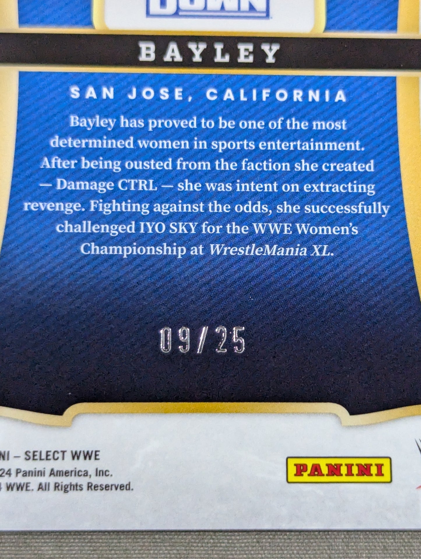 2024 WWE PANINI ベイリー タイダイパラレルカード