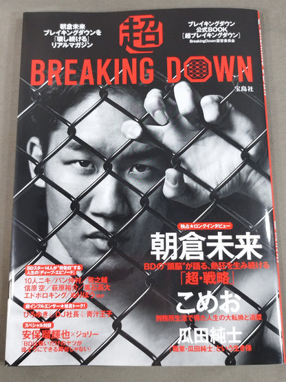 超BREAKING DOWN　ブレイキングダウン公式BOOK