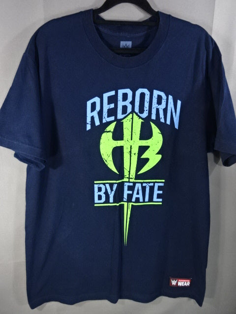 ハーディー・ボーイズ REBORN BY FATE Tシャツ