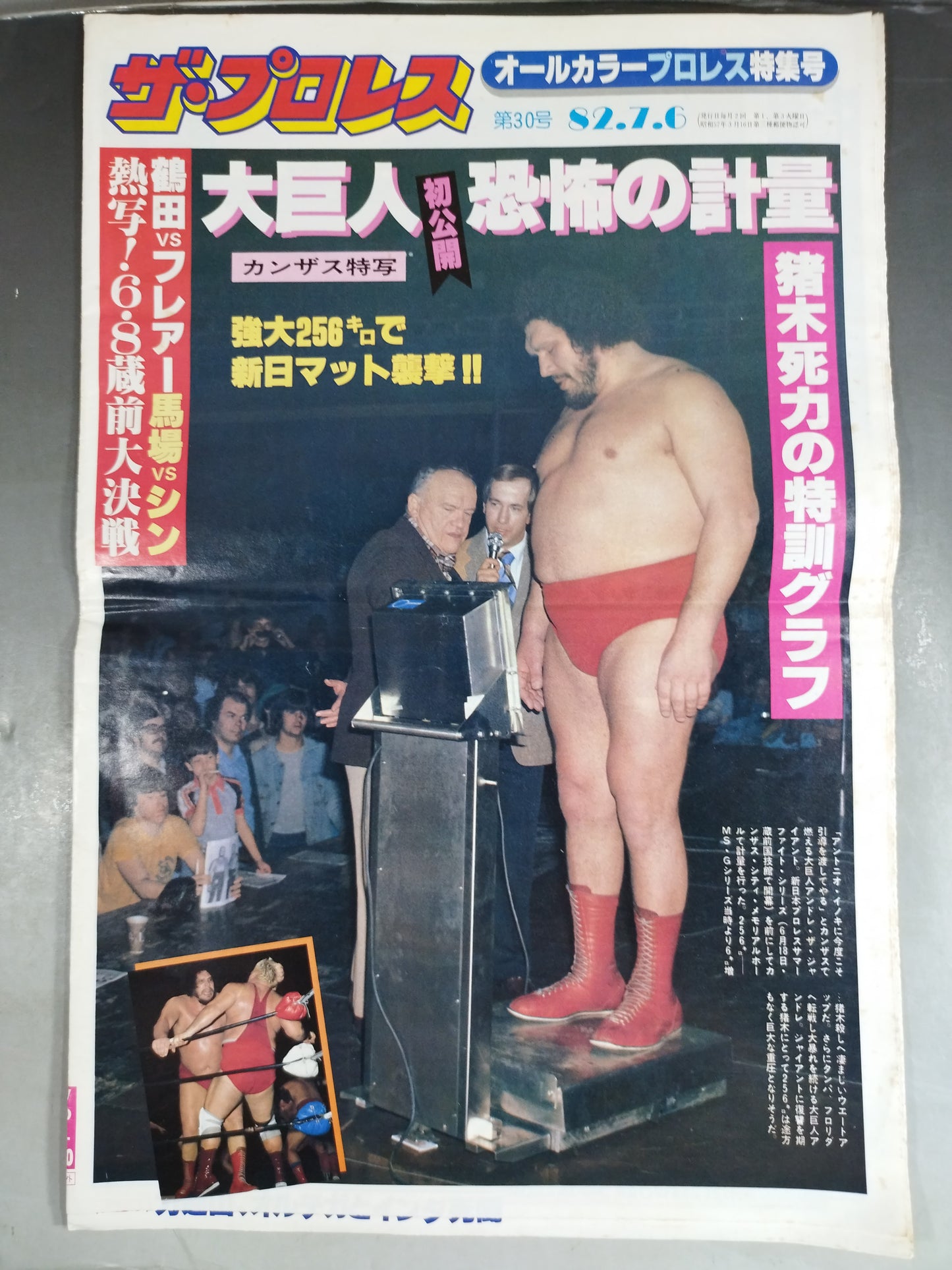 ザ・プロレス30