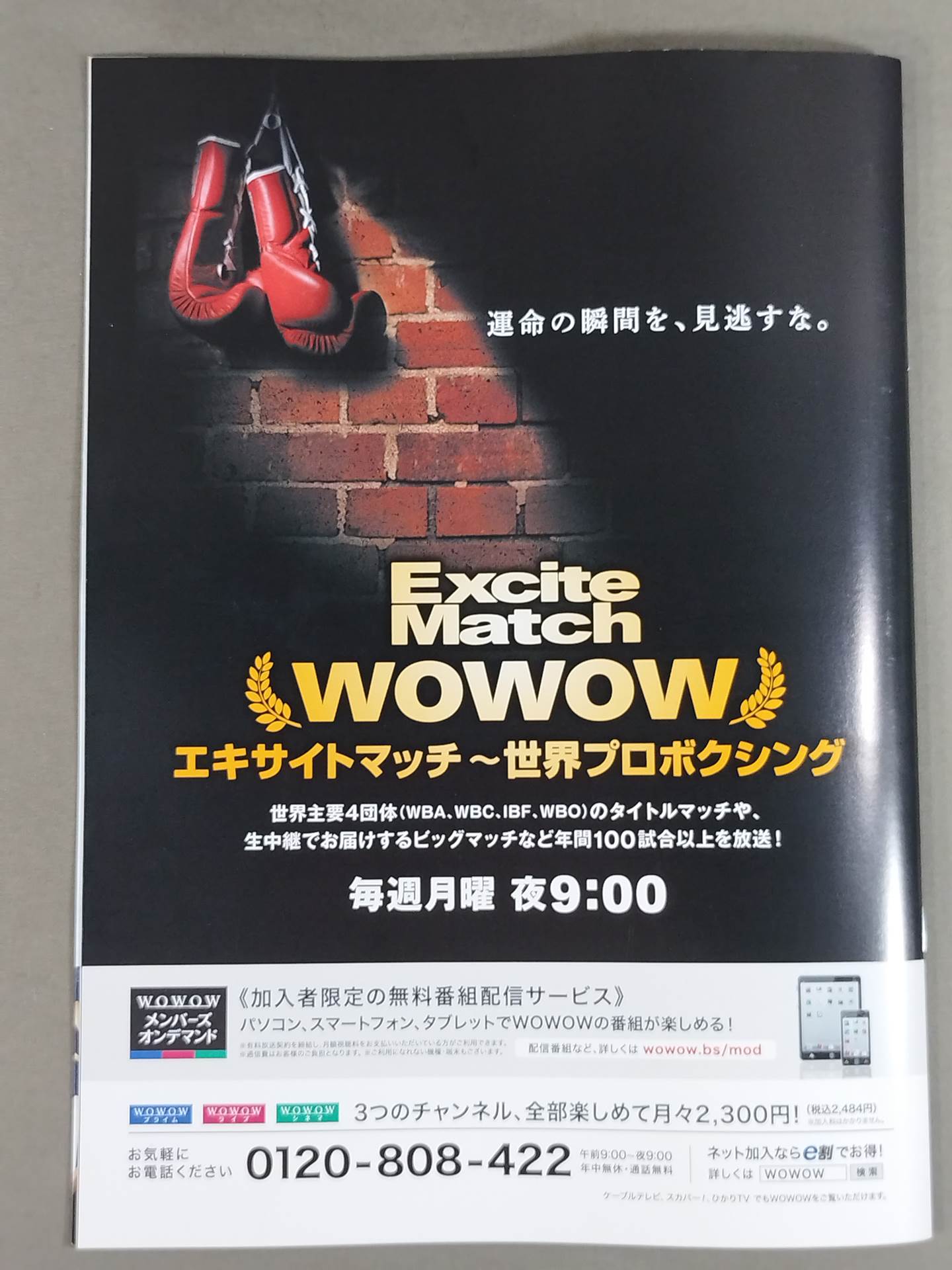 【カルロス・クアドラス 直筆サイン入り】エキサイトマッチスペシャル ダブル世界タイトルマッチ