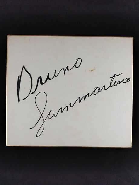 Bruno Sammartino 