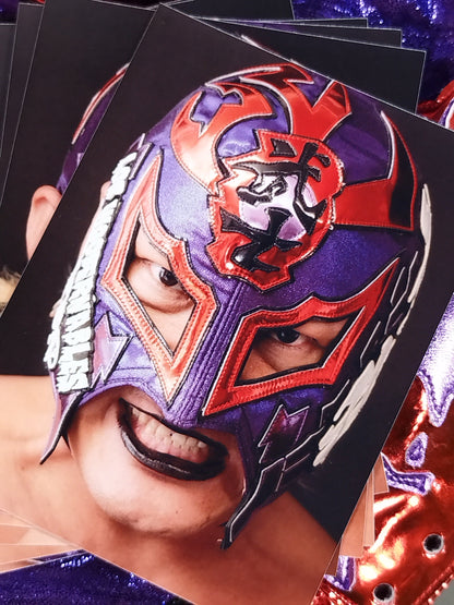 BUSHI 