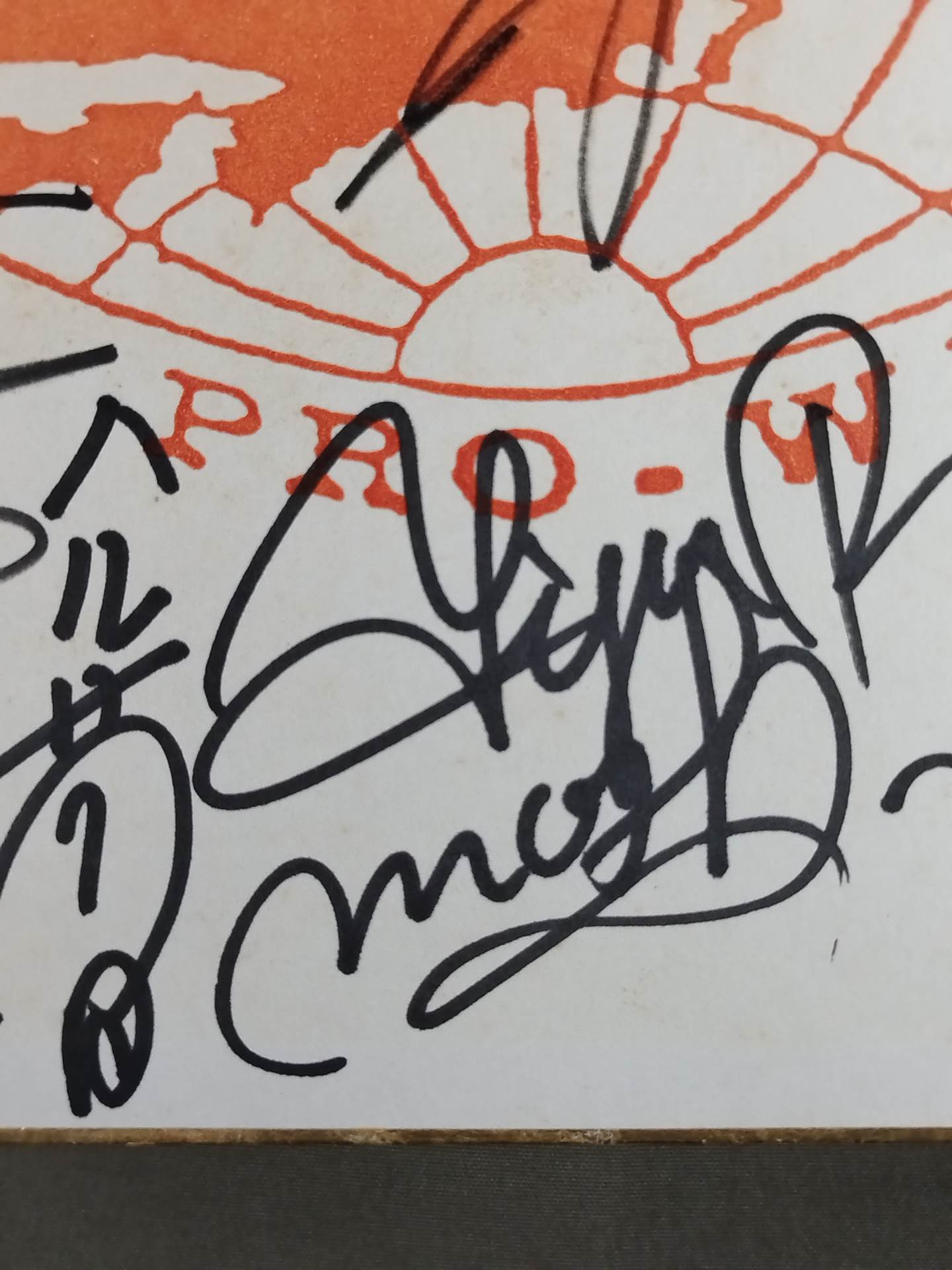 ★80年代の全日本プロレス★ 12選手 寄せ書き