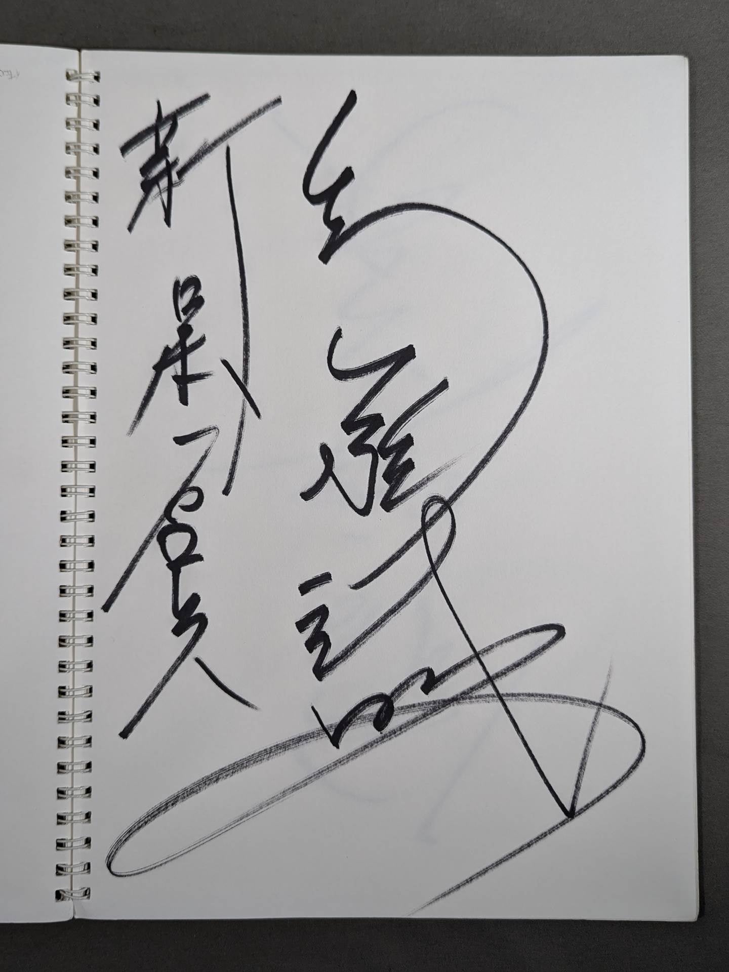 ★13名直筆サイン入り★ サイン帳