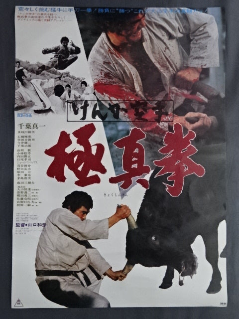 けんか空手 極真拳 ポスター