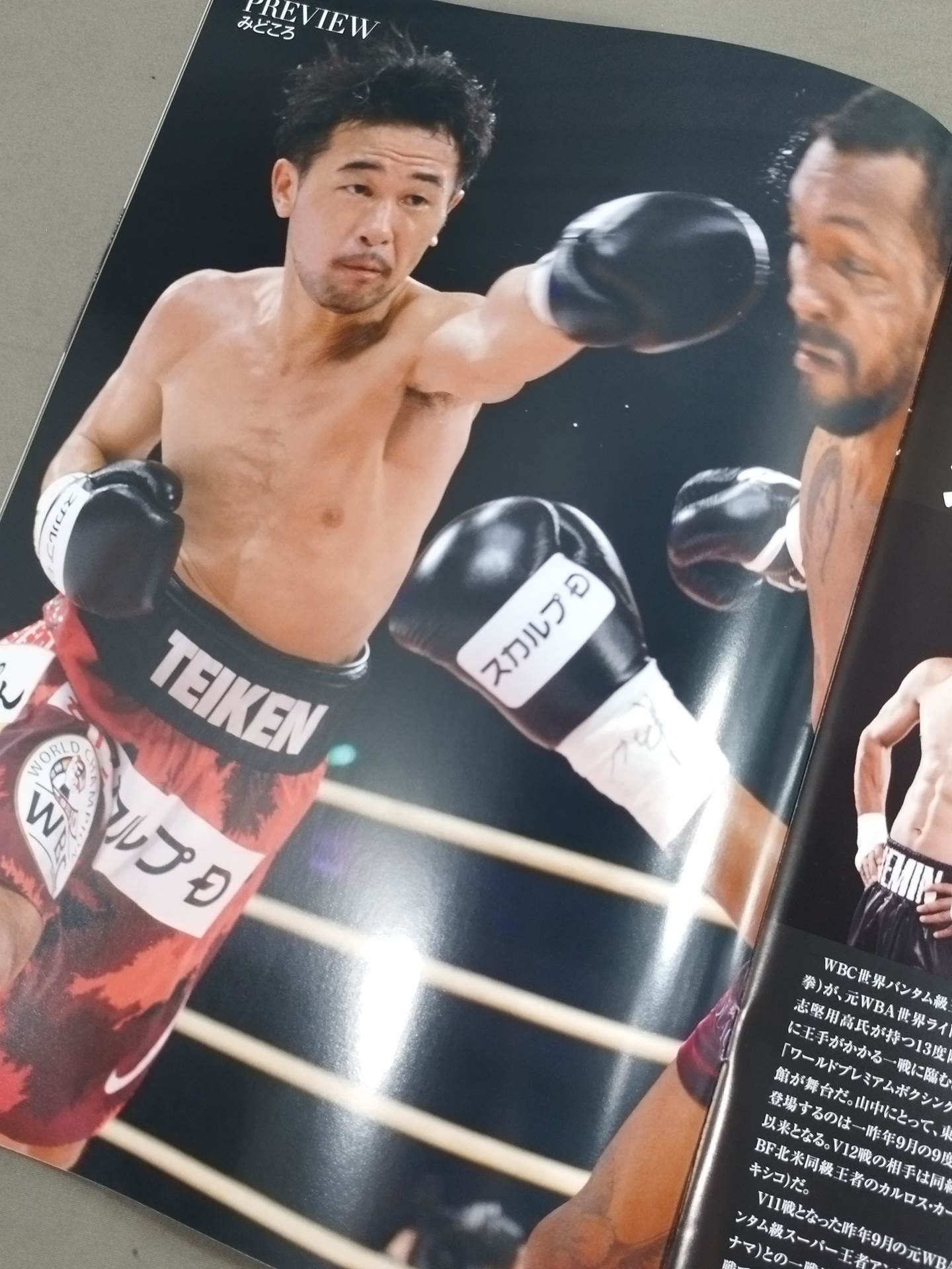 【WBC世界バンダム級タイトルマッチ】山中慎介vsカールソン