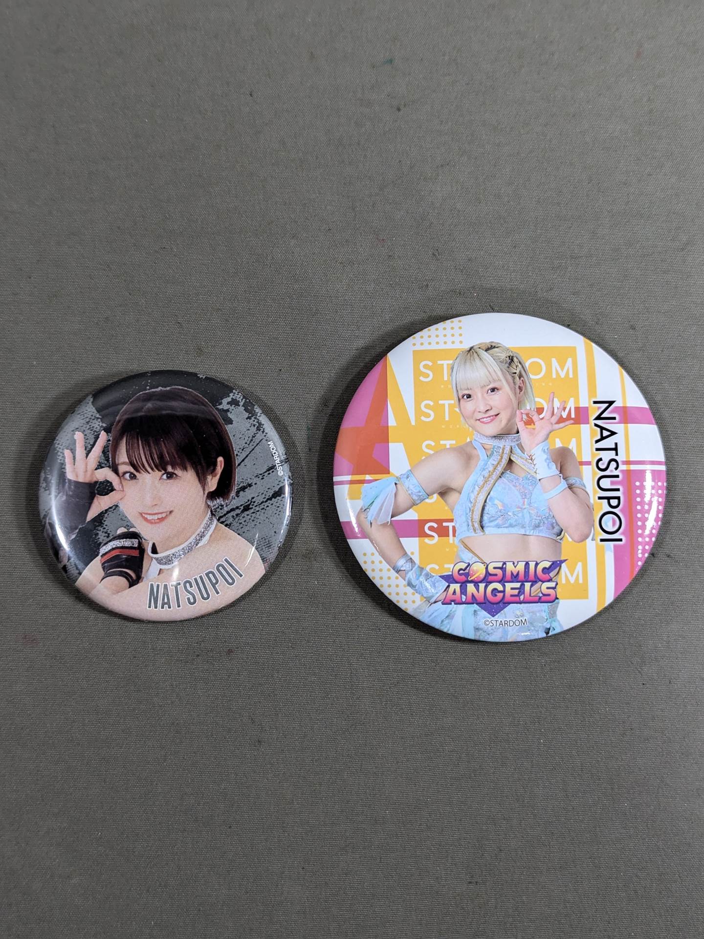 ★ High Speed Fairy★ NATSUPOI  PinBack button Set(1)