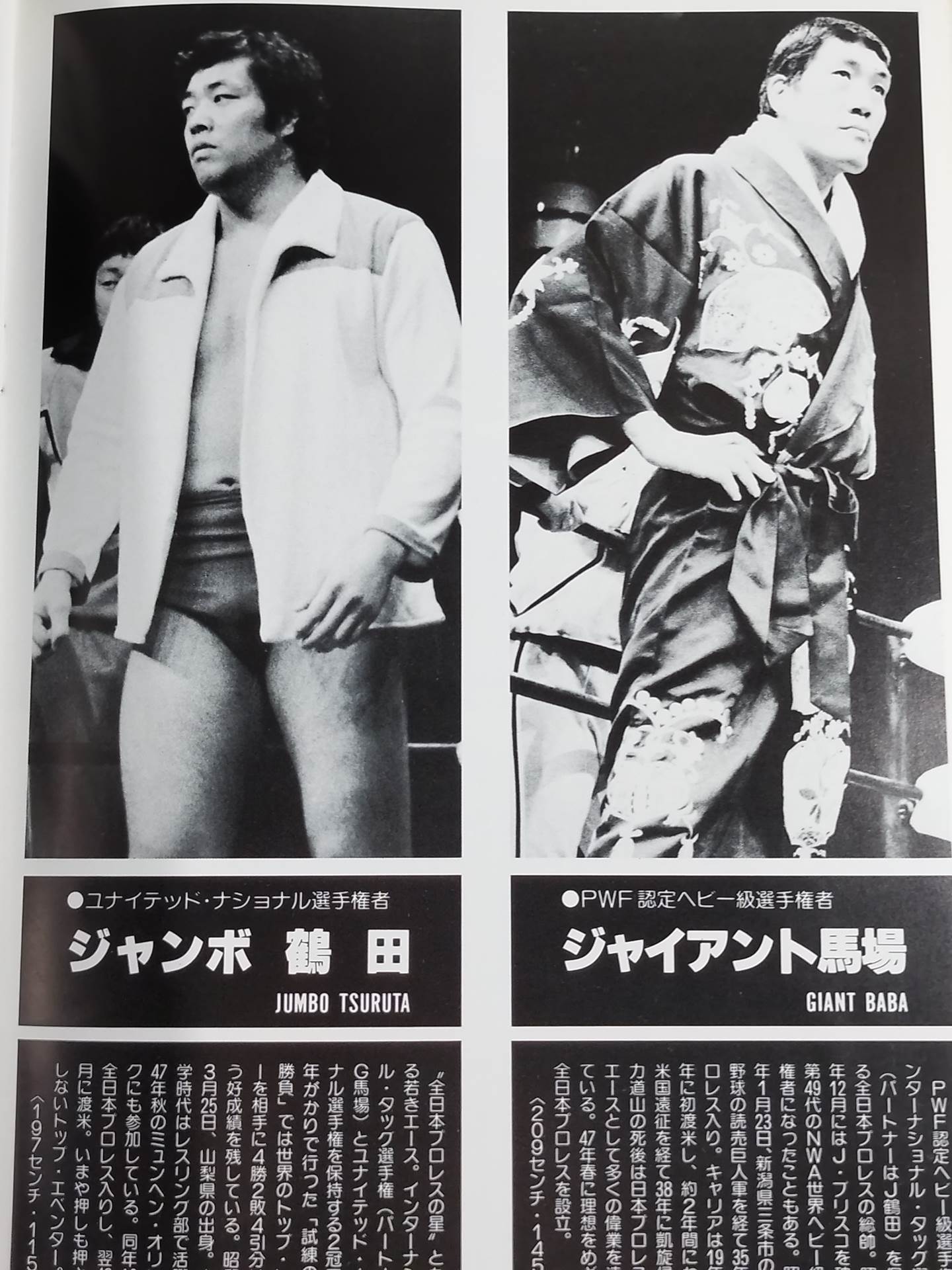 ★プロレス夢のオールスター戦★ 東京スポーツ新聞社創立20周年記念