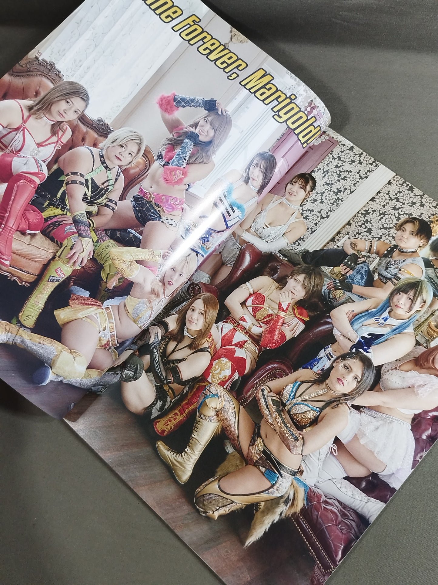 ★創刊号★ マリーゴールド / MARIGOLD GUIDE BOOK Vol.1