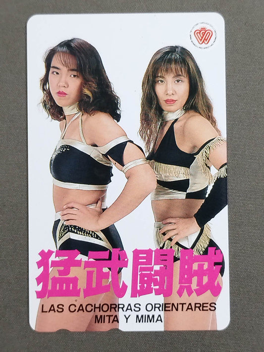 Eitsuko Mita & Mima Shimoda  (Fierce Fighter Thief, Las Cachoras Orientales)