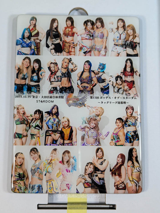 STARDOM CRYSTALLOGRAPHY (GODDESS OF STARDOM 2023)