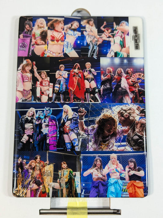STARDOM クリスタルグラフィー(Fight in the Top 2022)