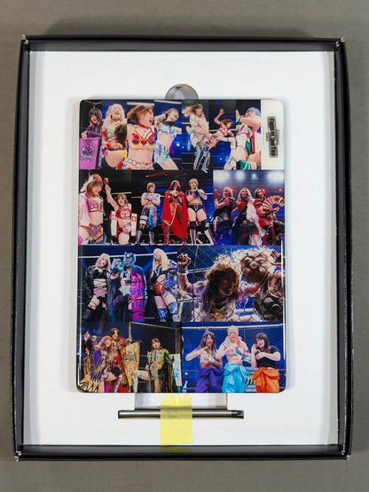 STARDOM クリスタルグラフィー(Fight in the Top 2022)