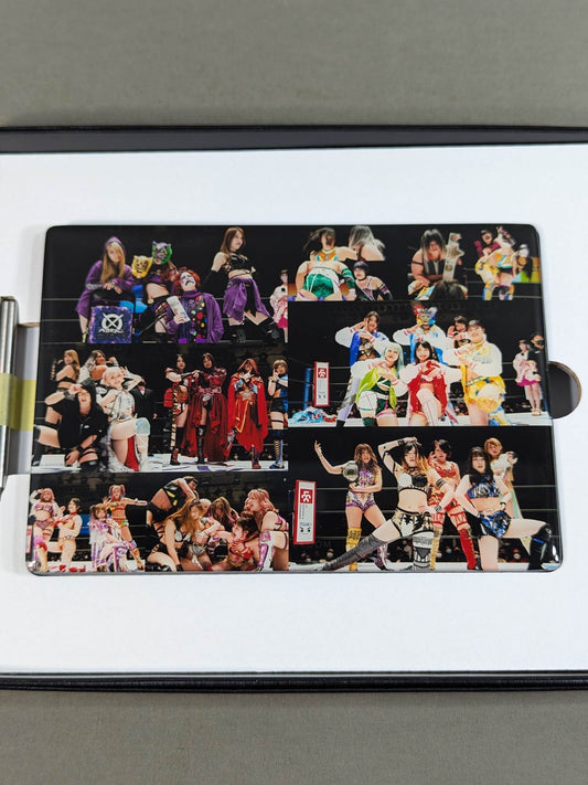 STARDOM Crystallography (STARDOM Unit)