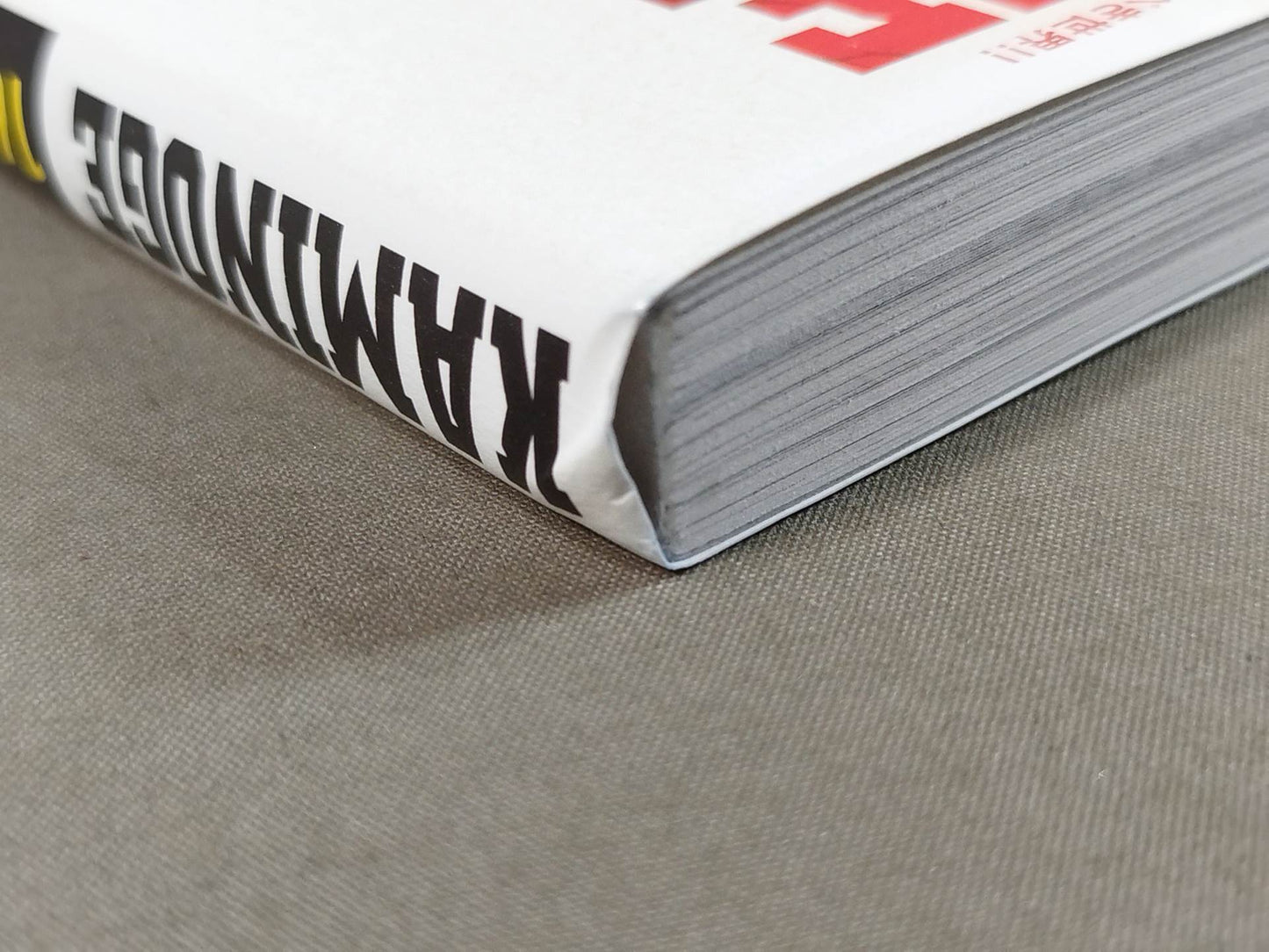 KAMINOGE [かみのげ] Vol.161 / 時ヲ刻メ！内藤哲也 (10年ぶり2回目の登場)