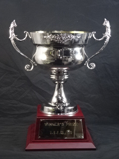 U-COSMOS Winner's Trophy