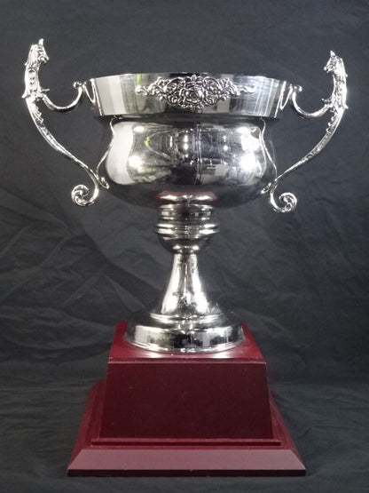U-COSMOS Winner's Trophy