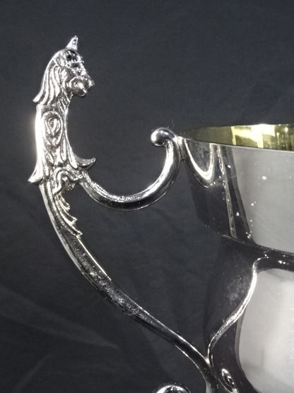 U-COSMOS Winner's Trophy