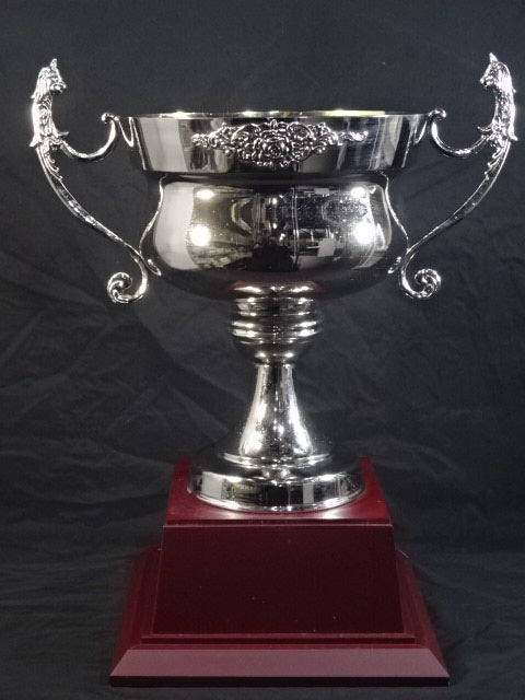 U-COSMOS Winner's Trophy