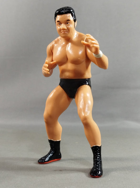 Tatsumi Fujinami 