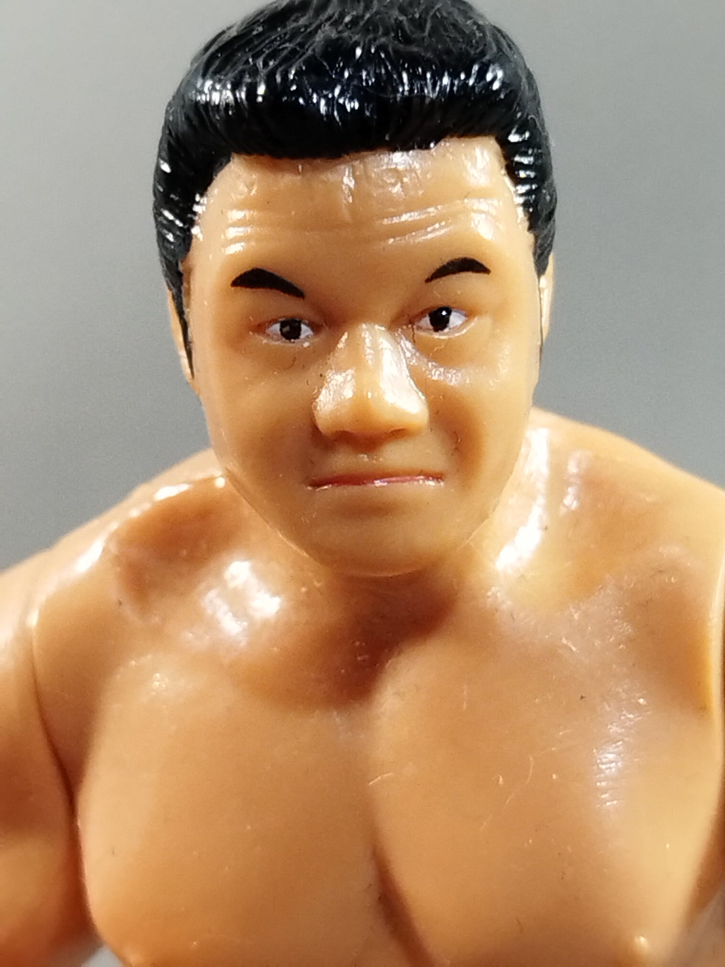 Tatsumi Fujinami 