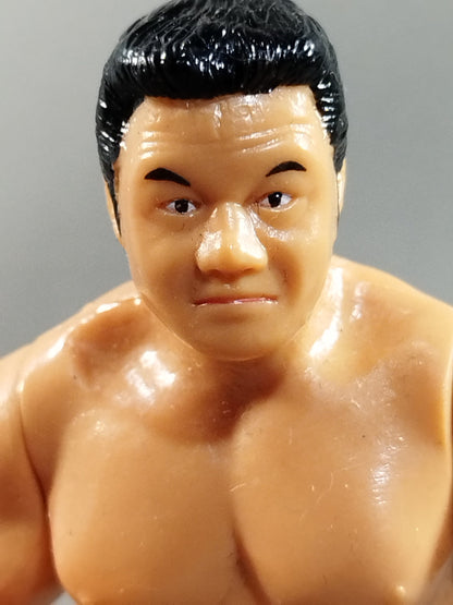 Tatsumi Fujinami 