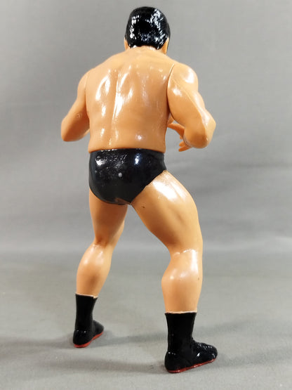 Tatsumi Fujinami 