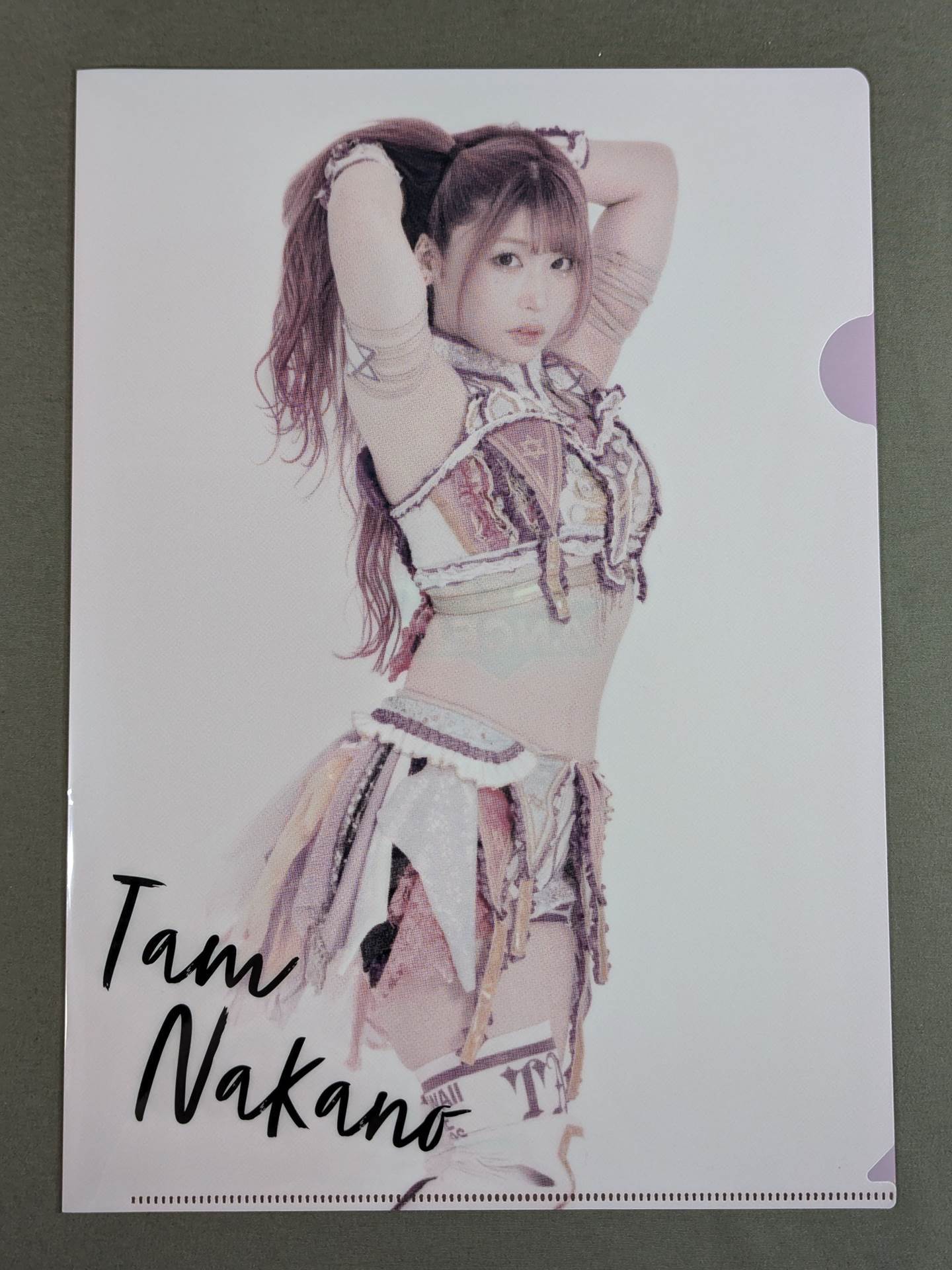 Tam Nakano  SPG limited plastic file folder