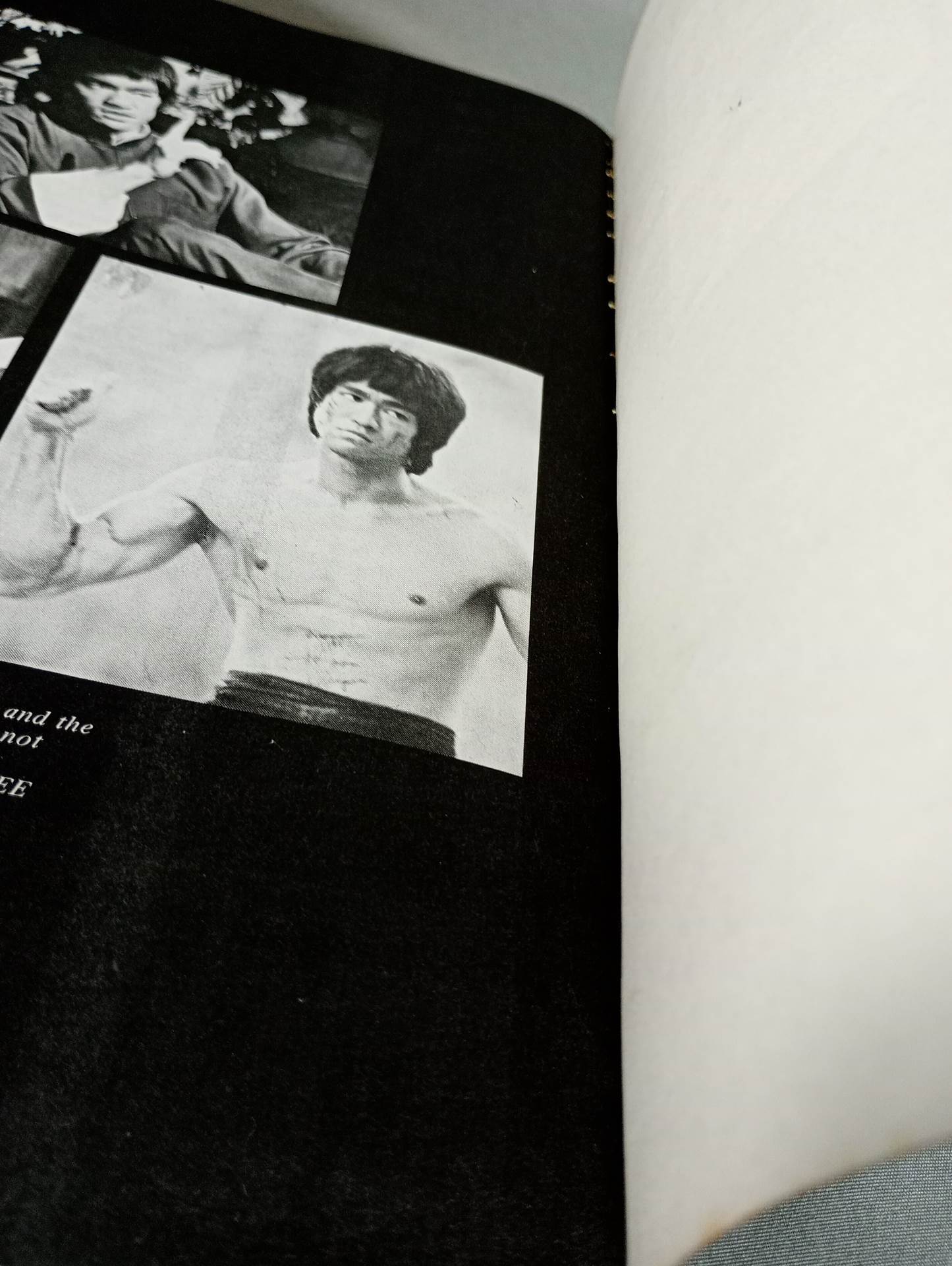 BRUCE LEE The Untold Story