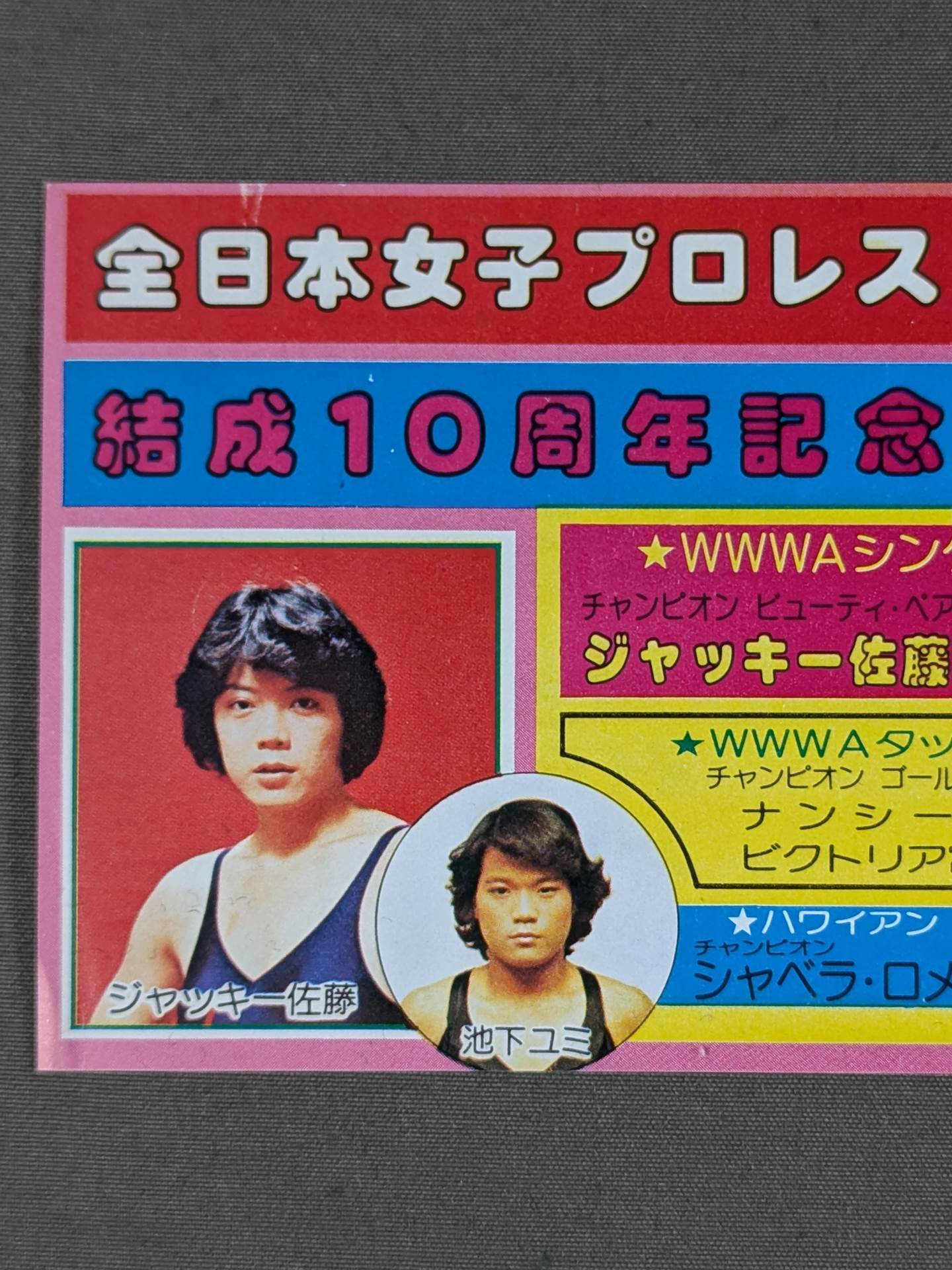 ★結成10周年記念★ 全日本女子プロレス 日本武道館大会 御優待券
