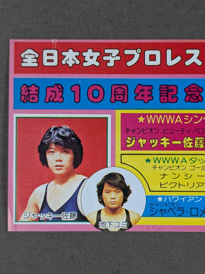 ★結成10周年記念★ 全日本女子プロレス 日本武道館大会 御優待券