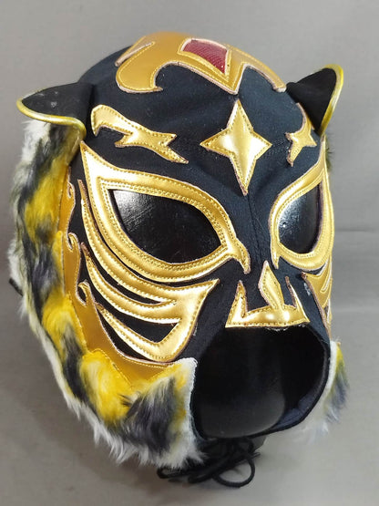 The first Black Tiger