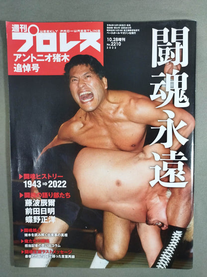 Weekly Pro Wrestling 2210