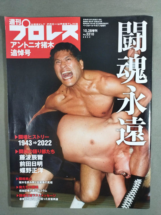 Weekly Pro Wrestling 2210