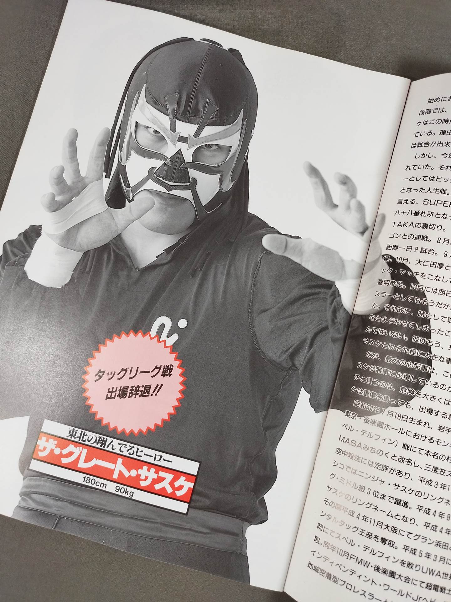 Michinoku Pro Wrestling  Official Pamphlet Vol.7